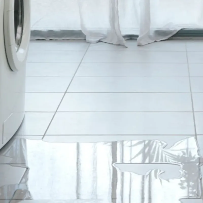 Appliance Leak Cleanup in Saint Paul, TX
