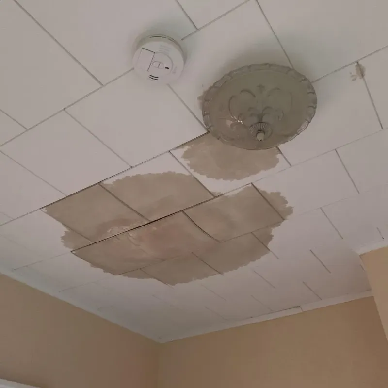 Ceiling Water Damage Repair in Saint Paul, TX