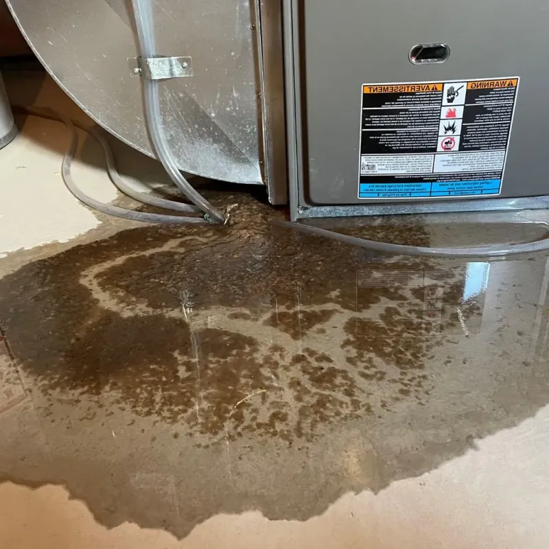 Pipe Burst and Leak Restoration in Saint Paul, TX
