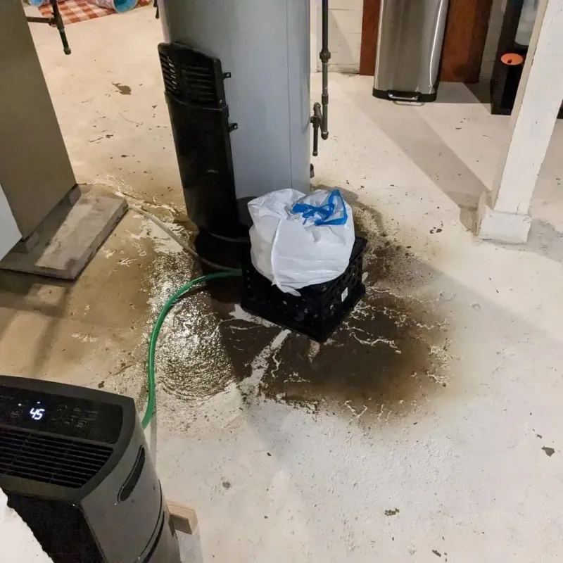 Sewage Backup Cleanup Service in Saint Paul, TX